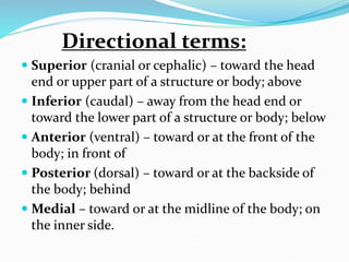Zakirullah Anatomy & Physiology LEC 01.ppt