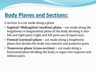 Zakirullah Anatomy & Physiology LEC 01.ppt