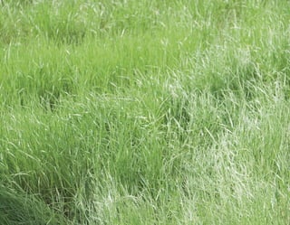 Zukunft der Arbeit [Studie]