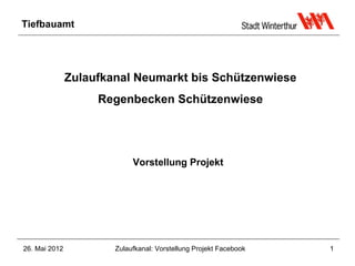 Tiefbauamt




               Zulaufkanal Neumarkt bis Schützenwiese
                    Regenbecken Schützenwiese




                            Vorstellung Projekt




26. Mai 2012           Zulaufkanal: Vorstellung Projekt Facebook   1
 
