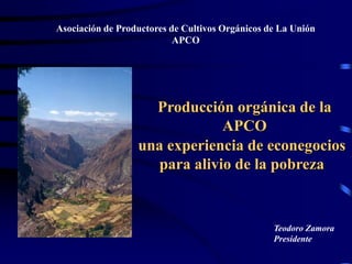 Asociación de Productores de Cultivos Orgánicos de La Unión APCO una experiencia de econegocios para alivio de la pobreza Producción orgánica de la APCO Teodoro Zamora Presidente 