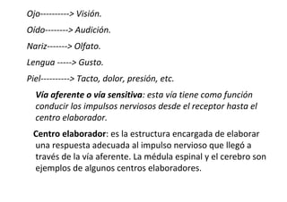 Ojo----------> Visión.
Oído--------> Audición.
Nariz-------> Olfato.
Lengua -----> Gusto.
Piel----------> Tacto, dolor, presión, etc.
Vía aferente o vía sensitiva: esta vía tiene como función
conducir los impulsos nerviosos desde el receptor hasta el
centro elaborador.
Centro elaborador: es la estructura encargada de elaborar
una respuesta adecuada al impulso nervioso que llegó a
través de la vía aferente. La médula espinal y el cerebro son
ejemplos de algunos centros elaboradores.

 