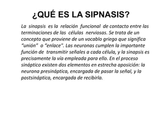 ¿QUÉ ES LA SIPNASIS?
La sinapsis es la relación funcional de contacto entre las
terminaciones de las células nerviosas. Se trata de un
concepto que proviene de un vocablo griego que significa
“unión” o “enlace". Las neuronas cumplen la importante
función de transmitir señales a cada célula, y la sinapsis es
precisamente la vía empleada para ello. En el proceso
sináptico existen dos elementos en estrecha aposición: la
neurona presináptica, encargada de pasar la señal, y la
postsináptica, encargada de recibirla.

 