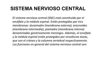 SISTEMA NERVIOSO CENTRAL
El sistema nervioso central (SNC) está constituido por el
encéfalo y la médula espinal. Están protegidos por tres
membranas: duramadre (membrana externa), aracnoides
(membrana intermedia), piamadre (membrana interna)
denominadas genéricamente meninges. Además, el encéfalo
y la médula espinal están protegidos por envolturas óseas,
que son el cráneo y la columna vertebral respectivamente.
Las funciones en general del sistema nervioso central son:

 