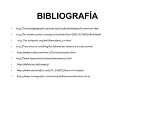 BIBLIOGRAFÍA
●

http://nationalgeographic.es/ciencia/fotos/brain/imagen/humano-cerebro

●

http://es.answers.yahoo.com/question/index?qid=20071027080558AAid6NU

●

●

●

●

http://es.wikipedia.org/wiki/Hemisferio_cerebral
http://neuromarca.com/blog/los-lobulos-del-cerebro-y-sus-funciones/
http://www.profesorenlinea.cl/Ciencias/neurona.htm
http://www.lasersalud.es/neurotransmisores.html

●

http://definicion.de/sinapsis/

●

http://www.ojocientifico.com/2011/08/07/que-es-la-sinapsis

●

http://www.monografias.com/trabajos84/nervioso/nervioso.shtml

 