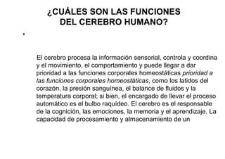 ¿CUÁLES SON LAS FUNCIONES
DEL CEREBRO HUMANO?
●

El cerebro procesa la información sensorial, controla y coordina
y el movimiento, el comportamiento y puede llegar a dar
prioridad a las funciones corporales homeostáticas prioridad a
las funciones corporales homeostáticas, como los latidos del
corazón, la presión sanguínea, el balance de fluidos y la
temperatura corporal; si bien, el encargado de llevar el proceso
automático es el bulbo raquídeo. El cerebro es el responsable
de la cognición, las emociones, la memoria y el aprendizaje. La
capacidad de procesamiento y almacenamiento de un

 