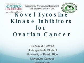 [object Object],[object Object],[object Object],[object Object],[object Object],Novel Tyrosine Kinase Inhibitors for  Ovarian Cancer Experimental Therapeutics Department Dr. Gabriel Lopez-Berestein,  MD 