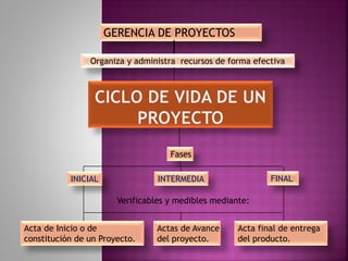 GERENCIA DE PROYECTOS
Organiza y administra recursos de forma efectiva
Fases
Verificables y medibles mediante:
INICIAL INTERMEDIA FINAL
Acta de Inicio o de
constitución de un Proyecto.
Actas de Avance
del proyecto.
Acta final de entrega
del producto.
 