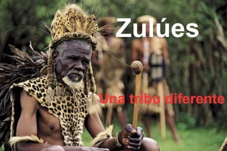 Zulúes
Una tribu diferente
 