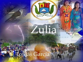Zulia

Tomás García
 