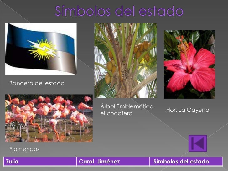 S 237 Mbolos De La Resistencia En Venezuela Fotos Es Mas Vida | simbolos regionales del zulia y dibujo la zulianidad S 237 Mbolos De La Resistencia En Venezuela Fotos Es Mas Vida | simbolos regionales del zulia y dibujo la zulianidad