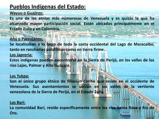 Pueblos Indígenas del Estado:
Wayuu o Guajiros:
Es una de las etnias más númerosas de Venezuela y es quizás la que ha
alcanzado mayor participación social. Están ubicados principalmente en el
Estado Zulia y en Colombia.

Añú o Paraujanos:
Se localizaban a lo largo de toda la costa occidental del Lago de Maracaibo,
tanto en rancherías palafíticas como en tierra firme.
Los Japreria:
Estos indígenas pueden encontrarse en la Sierra de Perijá, en los valles de los
ríos Lajas, Palmar y Alto Guasare.

Los Yukpa:
Son el único grupo étnico de filiación Caribe que reside en el occidente de
Venezuela. Sus asentamientos se ubican en los valles de la vertiente
venezolana de la Sierra de Perijá, en el Estado Zulia.

Los Barí:
La comunidad Bari, reside específicamente entre los ríos Santa Rosa y Río de
Oro.
 