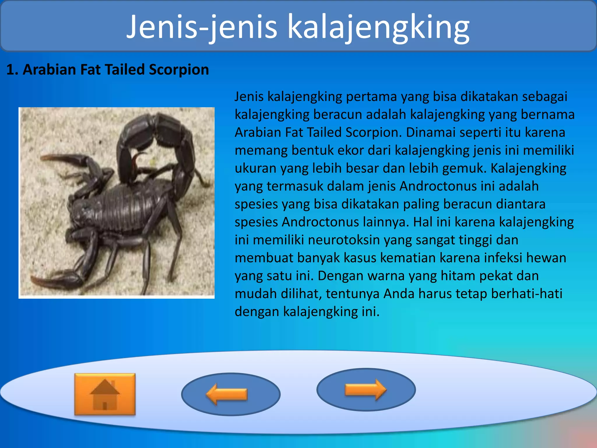 Sariq rus jinsi Vaginadagi turli xil narsalarning fotosuratlari