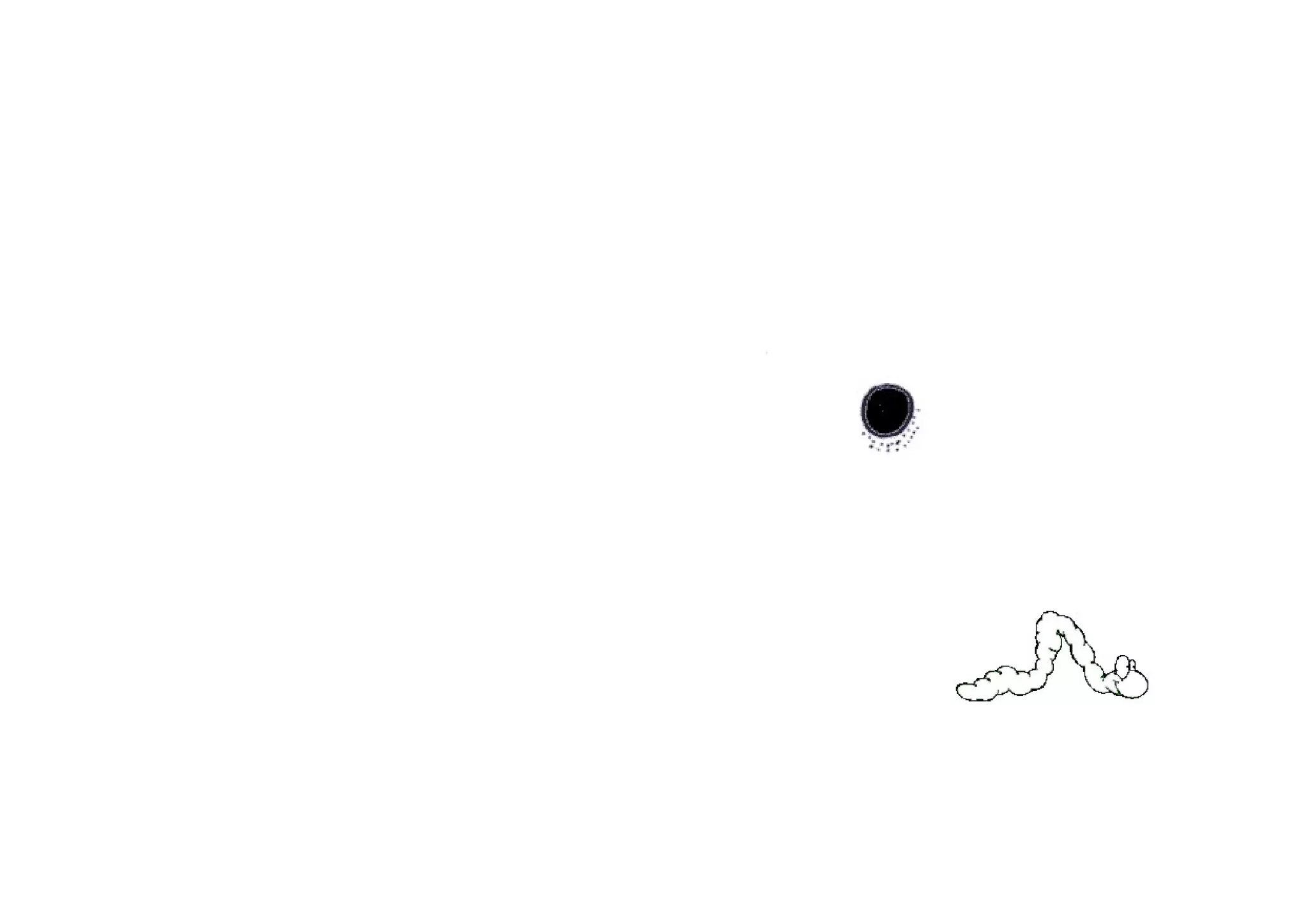 Zulo zulo zulotxo amona