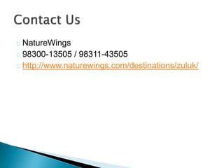 NatureWings
98300-13505 / 98311-43505
http://www.naturewings.com/destinations/zuluk/
 
