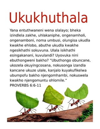 Zulu Motivational Diligence Tract.pdf