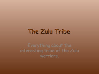 The Zulu Tribe  Everything about the interesting tribe of the Zulu warriors. 
