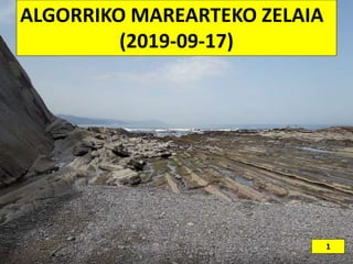 ALGORRIKO MAREARTEKO ZELAIA
(2019-09-17)
1
 