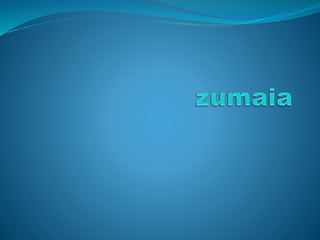 Zumaia2