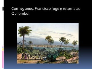 Com 15 anos, Francisco foge e retorna ao
Quilombo.
 