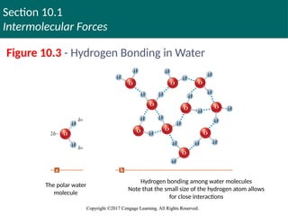 Section 10.1
Intermolecular Forces
Copyright ©2017 Cengage Learning. All Rights Reserved.
Copyright ©2017 Cengage Learning. All Rights Reserved.
Figure 10.3 - Hydrogen Bonding in Water
The polar water
molecule
Hydrogen bonding among water molecules
Note that the small size of the hydrogen atom allows
for close interactions
 