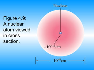 Figure 4.9:
A nuclear
atom viewed
in cross
section.
 