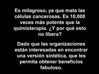 Es milagroso, ya que mata las
células cancerosas. Es 10,000
veces más potente que la
quimioterapia. ¿Y por qué esto
no libera?
Dado que las organizaciones
están interesadas en encontrar
una versión sintética, que les
permita obtener beneficios
fabuloso.
 