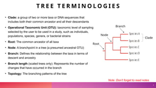 Zunera-Lecture-Introduction to Phylogenetic Analysis-V1.pptx