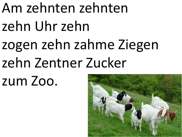 Zehn Zahme Ziegen Zogen Zehn Zentner Zucker Zum Zoo de.slideshare.net