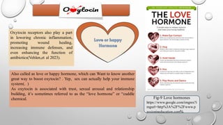 Effects of hormones on our immune system | PDF
