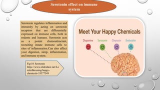 Effects of hormones on our immune system | PDF