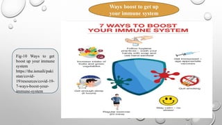 Effects of hormones on our immune system | PDF