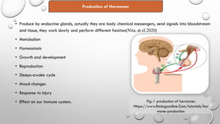 Effects of hormones on our immune system | PDF