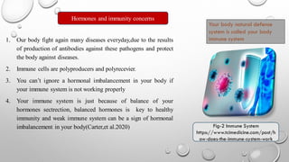 Effects of hormones on our immune system | PDF