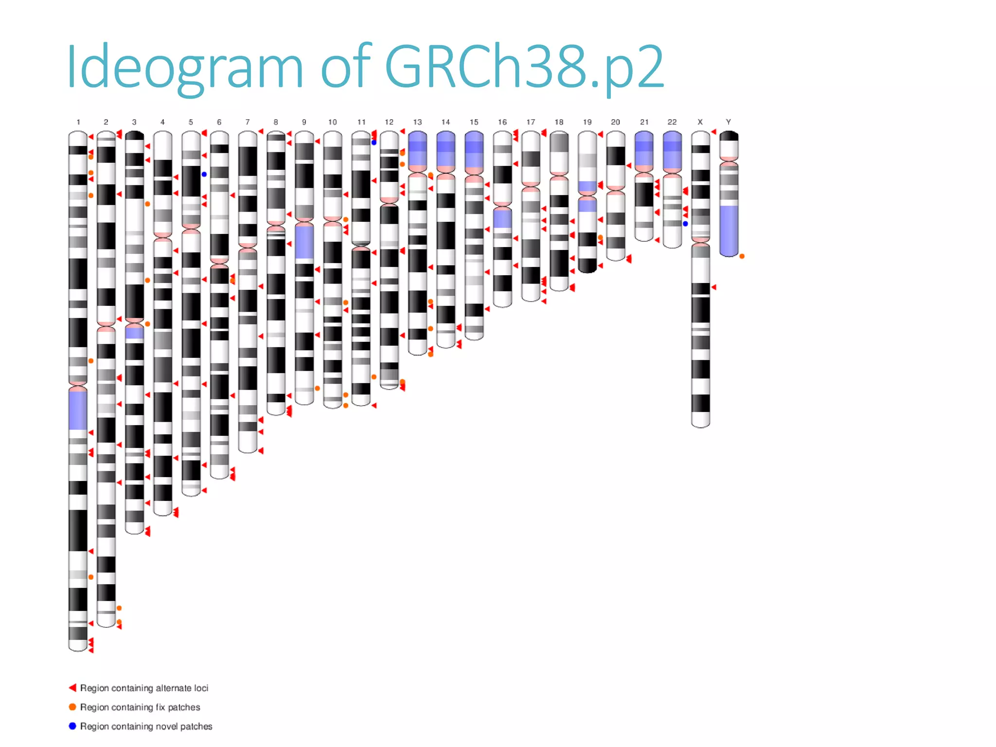 hg19 (GRCh37) vs. hg38 (GRCh38) | PPTX