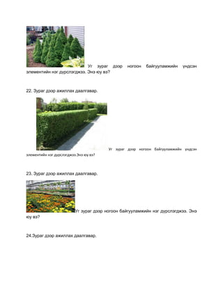 Уг зураг дээр ногоон байгууламжийн үндсэн
элементийн нэг дүрслэгджээ. Энэ юу вэ?
22. Зураг дээр ажиллах даалгавар.
Уг зураг дээр ногоон байгууламжийн үндсэн
элементийн нэг дүрслэгджээ.Энэ юу вэ?
23. Зураг дээр ажиллах даалгавар.
Уг зураг дээр ногоон байгууламжийн нэг дүрслэгджээ. Энэ
юу вэ?
24.Зураг дээр ажиллах даалгавар.
 