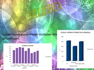 EUSKAL HERRIKO PIRINEETAKO MENDIAK

Lurrazalaren gorabeheren multzoari erliebea
deitzen zaio.
2500

2000

1600

Arabako mendiak

1500
Zutabea B

m

1400
1200

1000

1000

m

800
Zutabea B

600

500

400
0

200
0

Ori
Palomares
Gorbeia
Joar
Tologorri
Recuenco
Aizkorri
Abitigarra
Irumugeta
Eskutxi

mendiak

Arthanolatze
Hiru Erregeeen Mahia

Mendien izenak

 