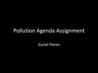 Pollution Agenda Assignment

         Zuriel Flores
 