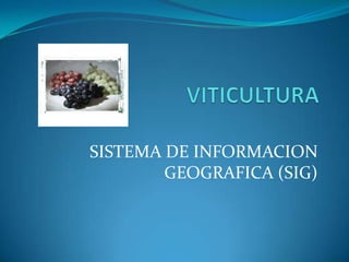SISTEMA DE INFORMACION
        GEOGRAFICA (SIG)
 