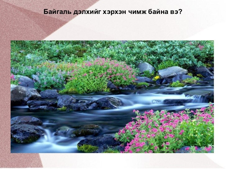 Ургамал