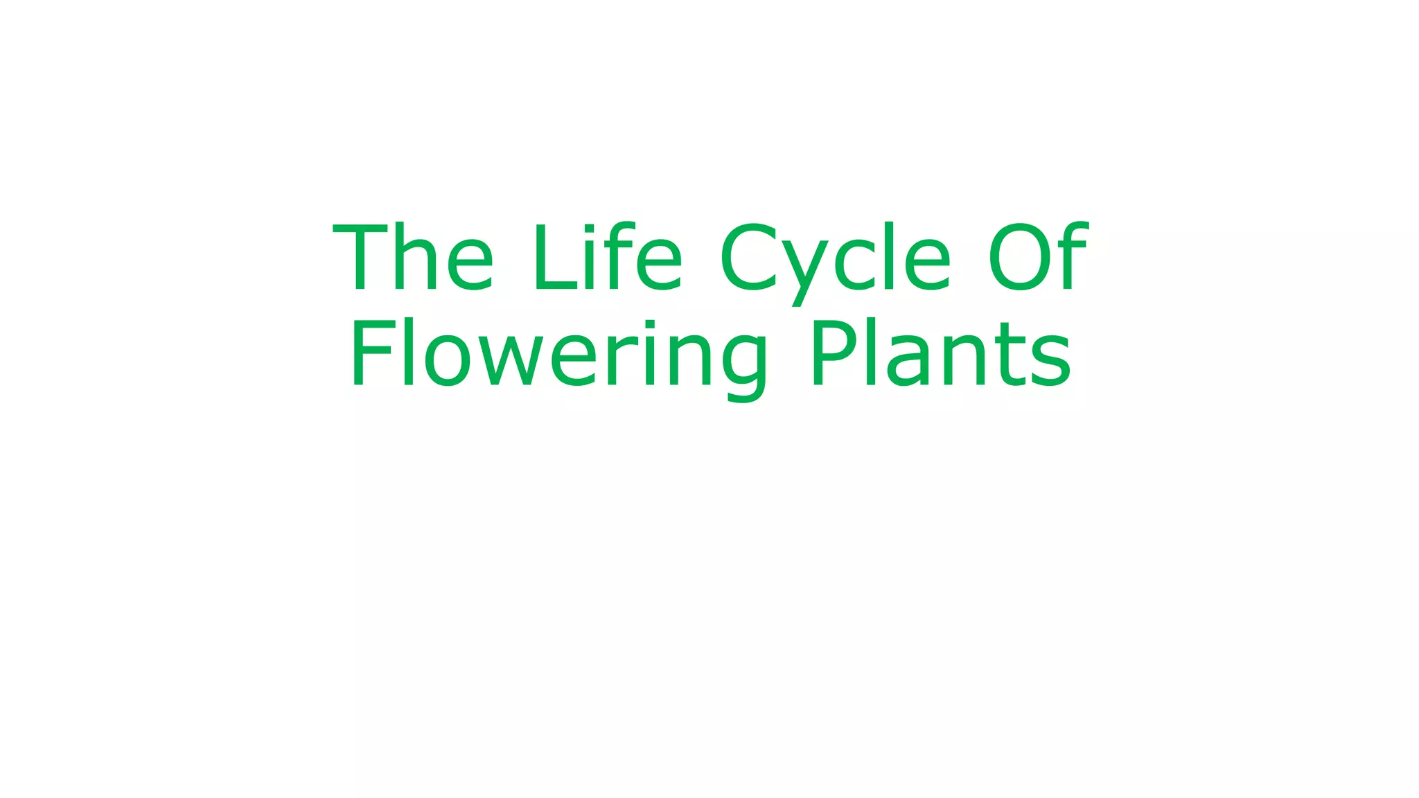 Life cycle of flowering plants | PPTX