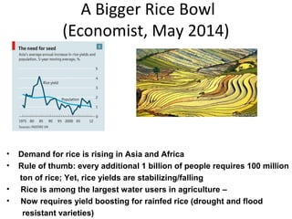 A Bigger Rice Bowl 
(Economist, May 2014) 
• Demand for rice is rising in Asia and Africa 
• Rule of thumb: every additional 1 billion of people requires 100 million 
ton of rice; Yet, rice yields are stabilizing/falling 
• Rice is among the largest water users in agriculture – 
• Now requires yield boosting for rainfed rice (drought and flood 
resistant varieties) 
 