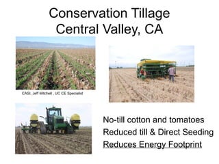 Conservation Tillage 
Central Valley, CA 
No-till cotton and tomatoes 
Reduced till & Direct Seeding 
Reduces Energy Footprint 
CASI, Jeff Mitchell , UC CE Specialist 
 