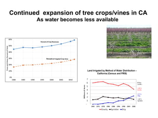 Continued expansion of tree crops/vines in CA 
As water becomes less available 
 