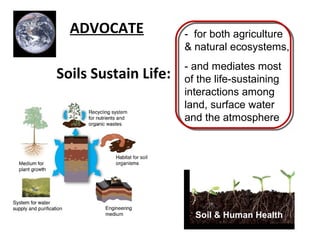 - for both agriculture 
& natural ecosystems, 
- and mediates most 
of the life-sustaining 
interactions among 
land, surface water 
and the atmosphere 
Soil & Human Health 
ADVOCATE 
Soils Sustain Life: 
 