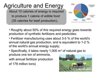 Agriculture and Energy 
About 10 calories of energy is required 
to produce 1 calorie of edible food 
(35 calories for beef production); 
• Roughly about 50% of this required energy goes towards 
production of synthetic fertilizers and pesticides; 
• Fertilizer manufacturing uses about 3-5 % of the world’s 
annual natural gas production, and is equivalent to 1-2 % 
of the world’s annual energy supply; 
• Specifically, it takes nearly 1,000 m3 of natural gas to 
produce one ton of ammonia, 
with annual fertilizer production 
of 178 million tons) 
 