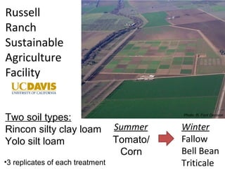Russell 
Ranch 
Sustainable 
Agriculture 
Facility 
Photo: R. Ford Denison 
Summer Winter 
Fallow 
Bell Bean 
Triticale 
Tomato/ 
Corn 
Two soil types: 
Rincon silty clay loam 
Yolo silt loam 
•3 replicates of each treatment 
 