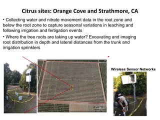 Citrus sites: Orange Cove and Strathmore, CA 
• Collecting water and nitrate movement data in the root zone and 
below the root zone to capture seasonal variations in leaching and 
following irrigation and fertigation events 
• Where the tree roots are taking up water? Excavating and imaging 
root distribution in depth and lateral distances from the trunk and 
irrigation sprinklers 
Wireless Sensor Networks 
 
