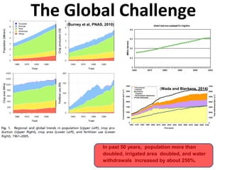 The Global Challenge 
(Wada and Bierkens, 2014) 
(Burney et al, PNAS, 2010) 
In past 50 years, population more than 
doubled, irrigated area doubled, and water 
withdrawals increased by about 250%. 
 