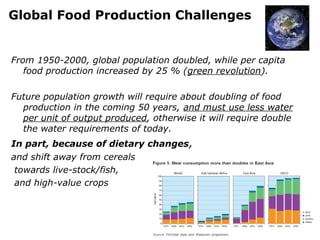Global Food Production Challenges 
From 1950-2000, global population doubled, while per capita 
food production increased by 25 % (green revolution). 
Future population growth will require about doubling of food 
production in the coming 50 years, and must use less water 
per unit of output produced, otherwise it will require double 
the water requirements of today. 
In part, because of dietary changes, 
and shift away from cereals 
towards live-stock/fish, 
and high-value crops 
 